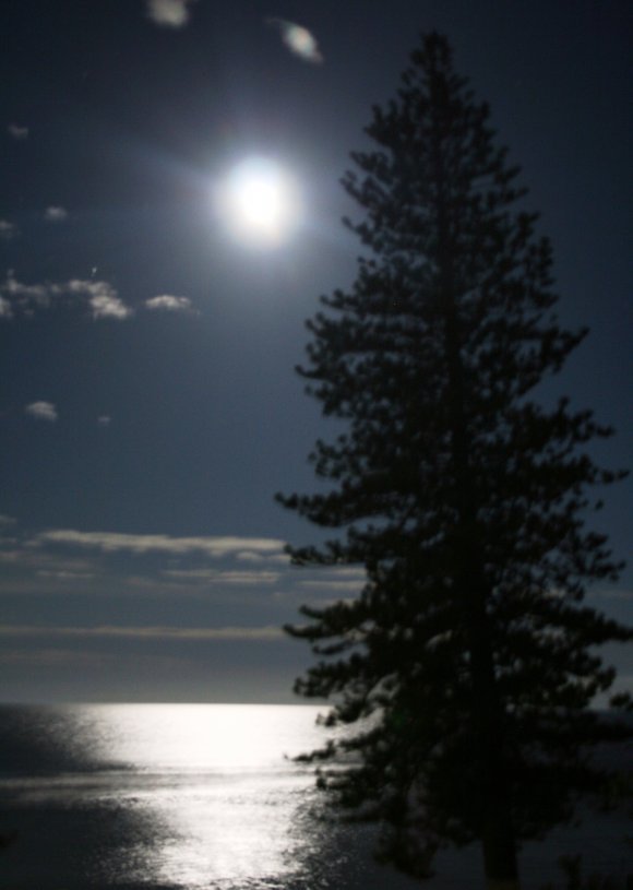 Moonlight