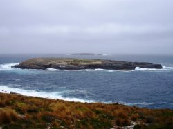 Kangaroo Island Coast