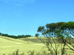 Australian Southern Fields