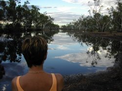 Reflecting On Life