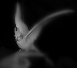 Take Off