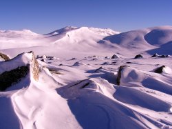 Winter Wonderland