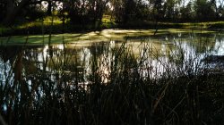 Sun Creek