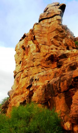 Wild Dog Hill, Whyalla Conservation Park