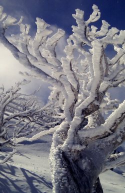 After The Blizzard