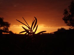 Sunrise Shot At Pt Turton