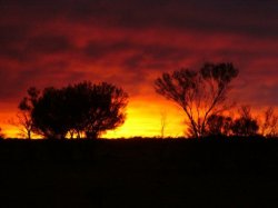 Sunset In The Outback