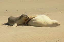 Mother And Baby