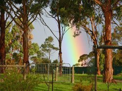 Rainbow's End