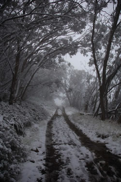 Trails Through The Victorian High Country