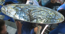 Musical Reflection