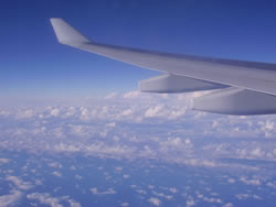 Scenic Flight