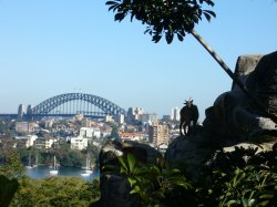 Sydney Harbour Bridge Outback Style
