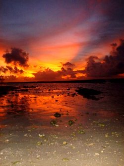 Fire In The Sky