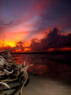 Sunset Of Fire