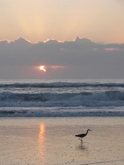 Sunrise Over 75 Mile Beach Fraser Island