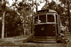 All Aboard Wattle Tram