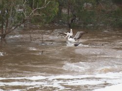 Below The Spillway