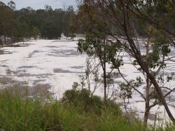 The Big Flood