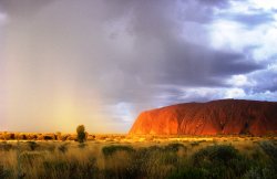 Uluru Gold