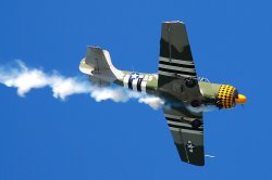 Yak 52