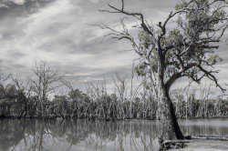 Murrumbidgee River