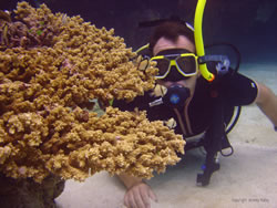 Behind The Reef