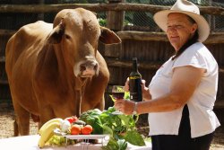 The Best Of Queensland Produce