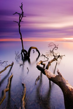 Serenity