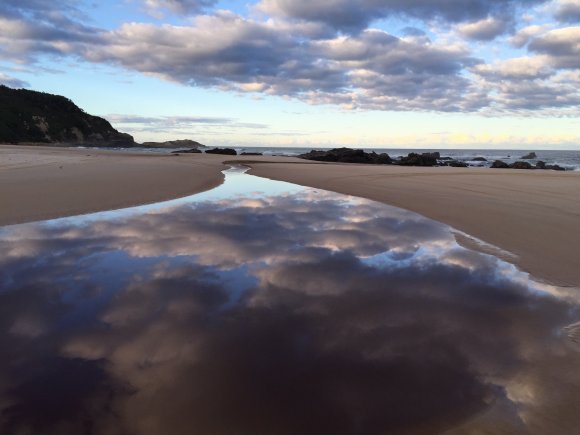 Reflections At Mineral Creek