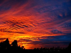 Melbourne Sunrise