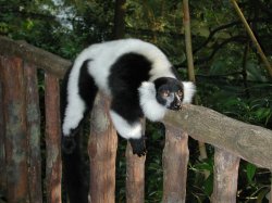 Hanging About
