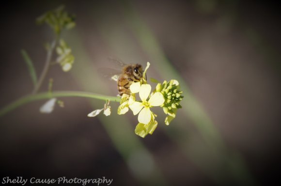 Spring Is In The Air