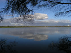 A Mirror Image