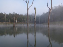 As The Mist Clears, All Is Revealed