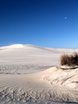 Deserted