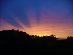 Dawn