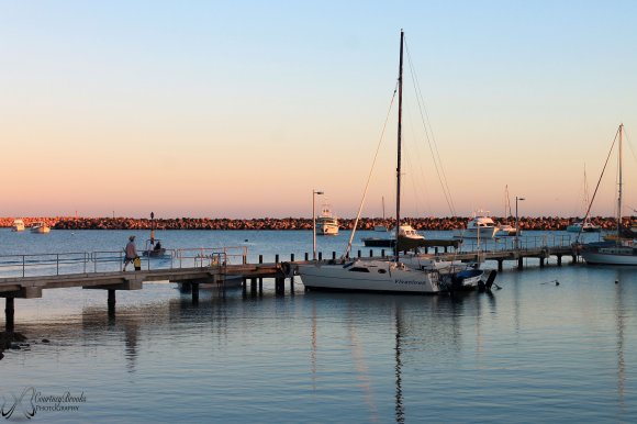 Marina Life