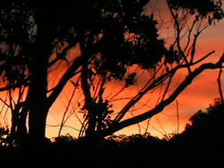 Sunset At Hyams