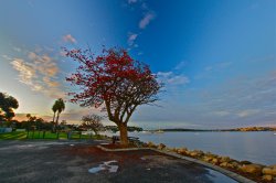 Claremont Foreshore