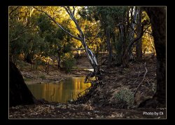 Sundown On The Creek