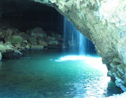 Hidden Beauty