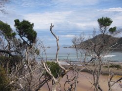Calm Beach Scene, Sw Tasmania