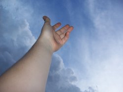 Reaching For The Sky