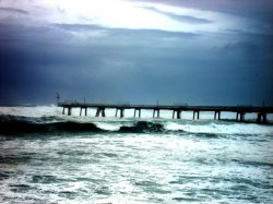 Surfers Delight