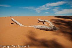 Harsh Sand