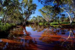 Pool On Burnett Creek Pilbara Wa