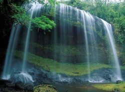 Mount Field National Park, Tasmania