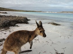 Lucky Bay