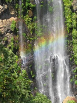 Moran Falls